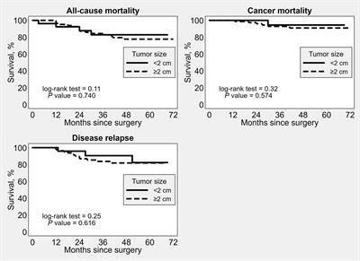 Is preoperative ultrasound tumor size a prognostic factor in endometrial carcinoma patients?